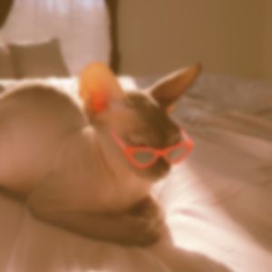 Meet your Posher, Jillian